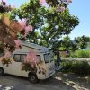 caravaning verdon